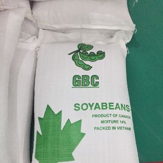 Hạt đậu nành (GMO và Non GMO)
