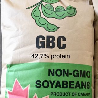Hạt đậu nành (GMO và Non GMO)