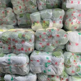 Cải Ngọt