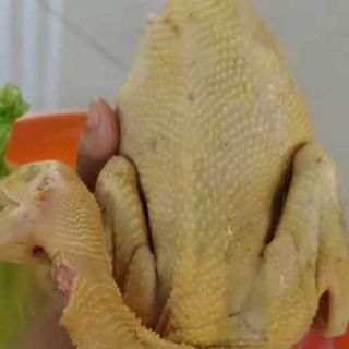 Tìm sỉ Gà ta khu vực tp HCM