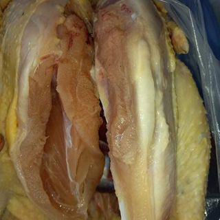 Tìm sỉ Gà ta khu vực tp HCM
