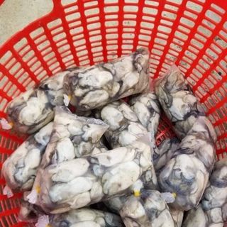 Hàu tươi sống, Hàu võ, Hàu ruột,..