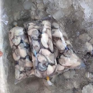 Hàu tươi sống, Hàu võ, Hàu ruột,..