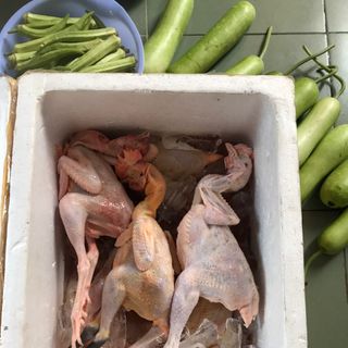 Gà tre thả vườn dai, làm sẵn