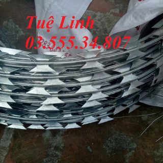 Dây thép gai, dây kẽm gai hình dao