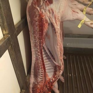 Sỉ Lẻ Heo Nóng TP.HCM