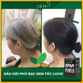Dầu gội thảo dược đen tóc LICH5, không gây kích ứng, không gây hại da đầu, đen tóc sau 5 phút, hộp 10 gói, PANDAR