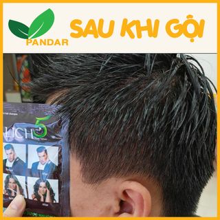 Dầu gội thảo dược đen tóc LICH5, không gây kích ứng, không gây hại da đầu, đen tóc sau 5 phút, hộp 10 gói, PANDAR