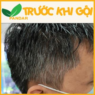 Dầu gội thảo dược đen tóc LICH5, không gây kích ứng, không gây hại da đầu, đen tóc sau 5 phút, hộp 10 gói, PANDAR