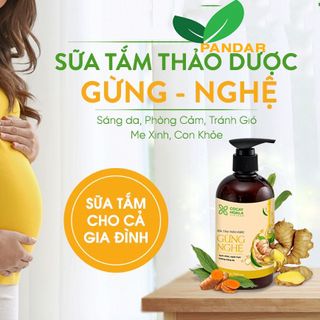 Sữa tắm thảo dược gừng nghệ, tránh gió, chống cảm, chai 300g, Cỏ cây hoa lá, PANDAR