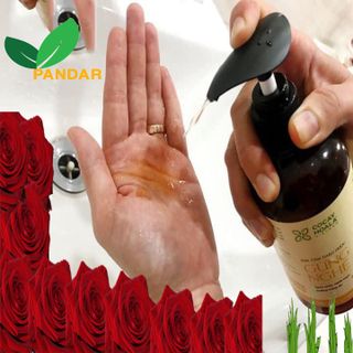 Sữa tắm thảo dược gừng nghệ, tránh gió, chống cảm, chai 300g, Cỏ cây hoa lá, PANDAR