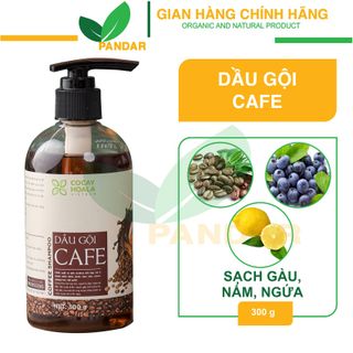 Dầu gội cà phê, sạch gàu, kích thích mọc tóc, an toàn và lành tính với da đầu, giảm tình trạng bết tóc, 300g, Cỏ cây hoa lá, PANDAR giá sỉ