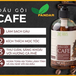 Dầu gội cà phê, sạch gàu, kích thích mọc tóc, an toàn và lành tính với da đầu, giảm tình trạng bết tóc, 300g, Cỏ cây hoa lá, PANDAR
