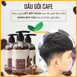 Dầu gội cà phê, sạch gàu, kích thích mọc tóc, an toàn và lành tính với da đầu, giảm tình trạng bết tóc, 300g, Cỏ cây hoa lá, PANDAR