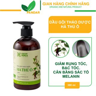 Dầu gội hà thủ ô 2in1, giảm các triệu chứng ngứa da đầu, hạn chế tóc bạc và tóc rụng, chai 300g, Cỏ cây hoa lá, PANDAR