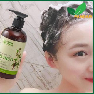 Dầu gội hà thủ ô 2in1, giảm các triệu chứng ngứa da đầu, hạn chế tóc bạc và tóc rụng, chai 300g, Cỏ cây hoa lá, PANDAR