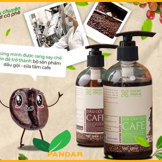 Combo Dầu gội cà phê và Sữa tắm cà phê, sạch gàu, khử mùi cơ thể, hạn chế tóc gãy rụng, 300g/chai Cỏ cây hoa lá, PANDAR