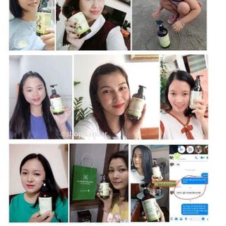 Dầu gội hà thủ ô 2in1, giảm các triệu chứng ngứa da đầu, hạn chế tóc bạc và tóc rụng, chai 450g, Cỏ cây hoa lá, PANDAR