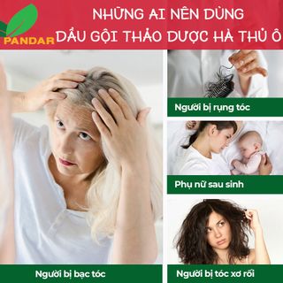 Dầu gội hà thủ ô 2in1, giảm các triệu chứng ngứa da đầu, hạn chế tóc bạc và tóc rụng, chai 450g, Cỏ cây hoa lá, PANDAR