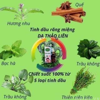 Tinh dầu sâu răng-hôi miệng Dạ Thảo Liên
