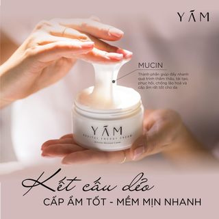Kem dưỡng da cao cấp Hàn Quốc YAM