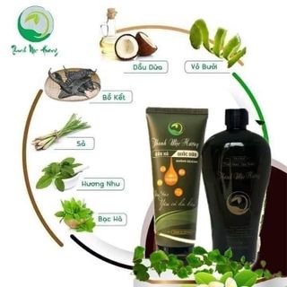 Dầu gội + dầu xả thảo dược