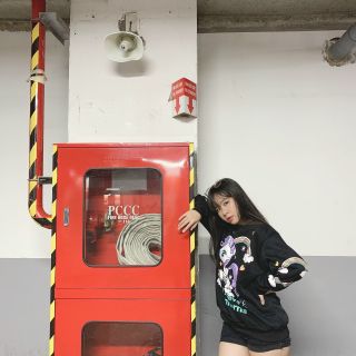 Áo sweater in ngựa rõ đẹp