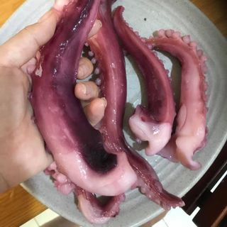 Râu bạch tuộc KHỦNG LỒ