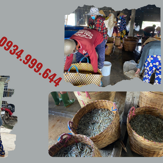 TÔM KHÔ BẠC LIÊU -