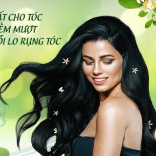 Dầu Gội Bưởi Thảo Dược Nachy