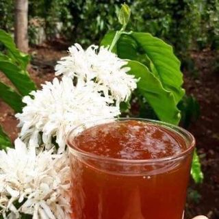 Mật ong hoa cà phê