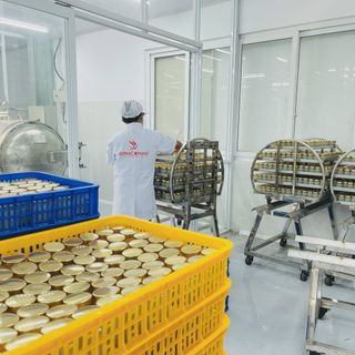Yến hũ Chưng Sẵn Đường Phèn( 30% yến tươi nguyên chất)