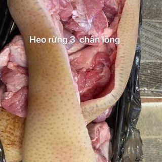 Thịt heo rừng (nuôi thả)