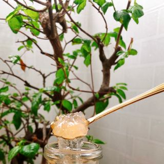 Yến Chưng Hạt Sen, Yến Sào Cao Cấp( 30% yến tươi nguyên chất, đậm đặc bổ dưỡng)
