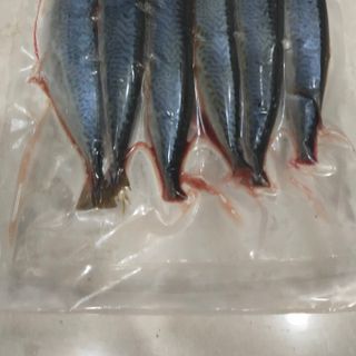 CÁ NỤC HUẾ ĐÃ LÀM SẠCH 5-6 con/KG