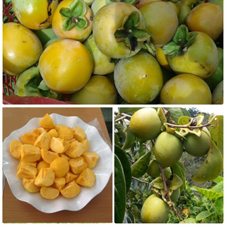 Hồng Giòn Đà Lạt – 1Kg, Mua 10kg Free Ship Nhiên Farm Đà Lạt