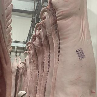 Sỉ Lẻ Heo Nóng TP.HCM