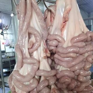 Sỉ Lẻ Heo Nóng TP.HCM