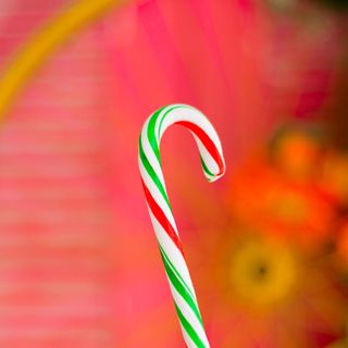 Kẹo cây gậy noel giáng sinh