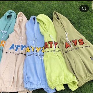 Áo hoodie in logo nổi ATYS thun nỉ ngoại form 70kg giá sỉ