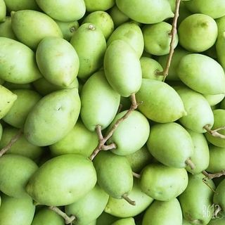 Cà na tươi trái to thịt dày
