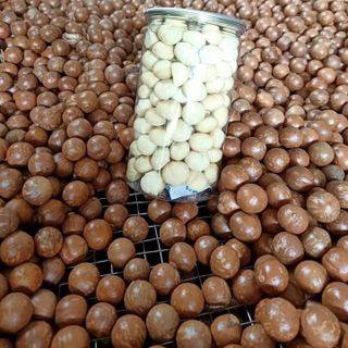 SỈ VÀ LẺ HAT DINH DƯỠNG DAK LAK TẬN GỐC