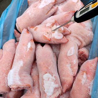 Chân trước heo đông lạnh