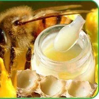 Sữa ong chúa Tây Nguyên Tốt Cho Sức Khỏe- Thương Hiệu Highlandpure- Lọ Thủy Tinh 100gr
