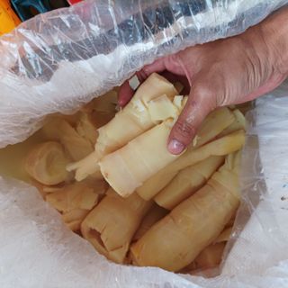 Măng tươi lồ ô