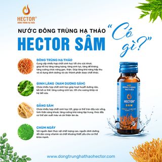 Nước Đông trùng hạ thảo Hector Sâm