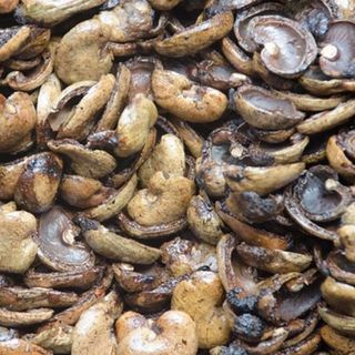 Vỏ Hạt Điều Chưa Ép Dầu