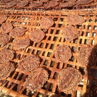 CHUỐI HỘT ÉP MIẾNG GIÁ SỈ