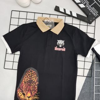Ao thun nam cao cap