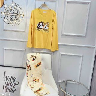 Set bộ thun nữ cute